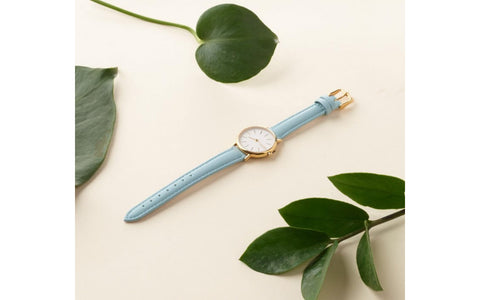 Hadley Women's Carolina Blue Microfiber Vegan Watch Strap