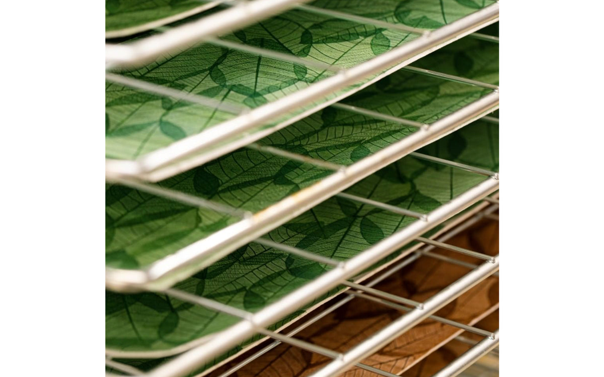 Leaf by HIRSCH - Brown Vegan Performance Watch Strap