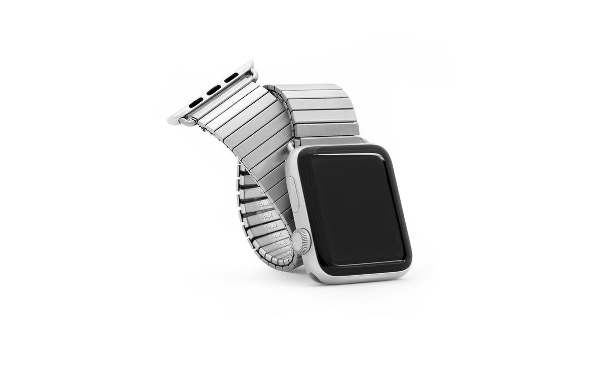 Apple Watch 38mm Band - Speidel Silvertone Stainless Steel Expansion